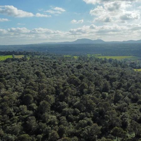 Magnifica Villa Tranquila En El Centro De Mallorca Biniali  المظهر الخارجي الصورة