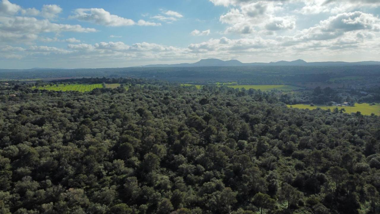 Magnifica Villa Tranquila En El Centro De Mallorca Biniali  المظهر الخارجي الصورة